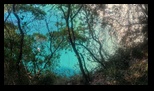 Corfu - Rovinia Beach -27-06-2025 - Bogdan Balaban